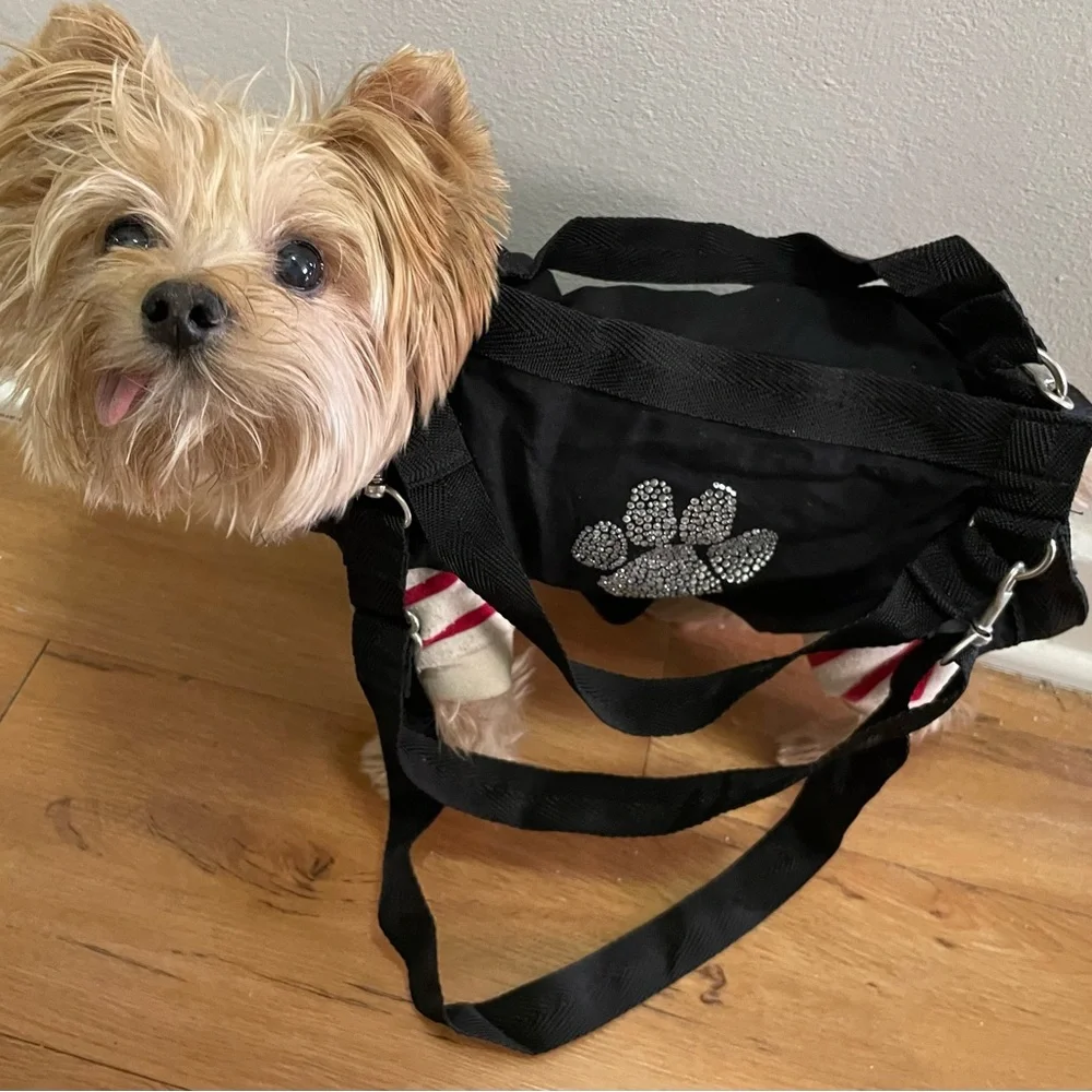 Black Floral Puppy Purse and Harness X-Large